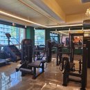 진빼이짐 이미지