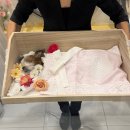 타임투반려동물 장례식장 이미지