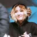 일사이