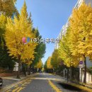 (주)미래엔텍(지점) | (주)다홍웨딩 화요정기회의 &amp; 국내 최초 소개팅 피드백 시스템