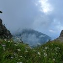 한신농장 이미지