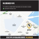 옐레드 애견유치원&애견호텔 부산용호점 이미지