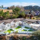 댕댕이애견 이미지