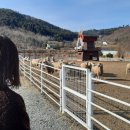 (주)용문여행 네이버블로그