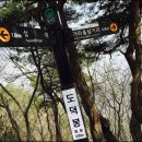 도덕봉 정상 산행후기- 도적이 많아 도덕봉 ? 도덕 의미를 되세기며~