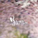 봄을담다