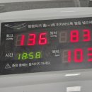 국수나무 진도점 네이버블로그