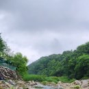 하계캠프 백운산 계곡트래킹(하계야유회 ) 이미지