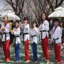 영일태권도장 이미지