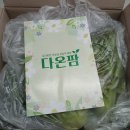 다온팜 | 신선함 가득! 다온팜 아쿠아포닉스 무농약 유러피안 샐러드 채소 솔직 후기