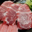 눈꽃참치