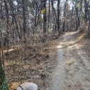 연일노래방 | 겨울이 싫은 사람의 한겨울 일상(feat. 런캣 캣휠 후기-이천반품매장)