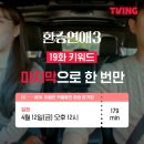 호계소방파출소_하 | 꽃구경도 운동도 드라마 보기도 열심히 한 4월
