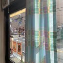 초리 포레스트 이미지