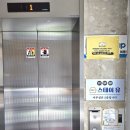 스테이유 - 21733 | 스테이유