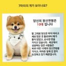 정신