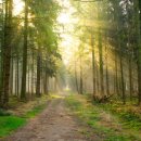 동부환경공원 이미지