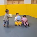 원도태권도장 이미지