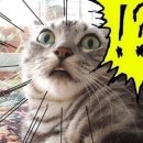 에스모텔(S) 이미지