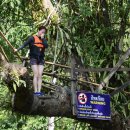 블루라군 이미지