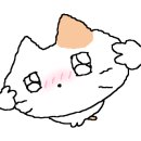 홍당무PC방 이미지