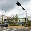 라온제주 이미지