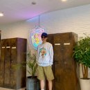 데일리도그(DAILY DOG) 네이버블로그
