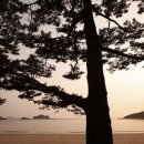 4색여행 이미지