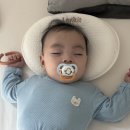 엔조이 | 라비킷 두상베개 내돈내산 후기, 엔조이커플 쌍둥이 육아템 보고 궁금했던 두상베개