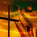 신익약국 이미지