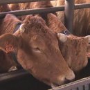 박동농장 이미지