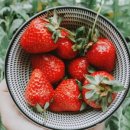 누구나 건강 베이킹 이미지