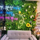 다보여안경 이미지