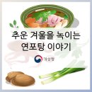 성재(惺齋) | 추운 겨울을 녹이는 연포탕 이야기