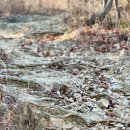 조밭 공영주차장 이미지