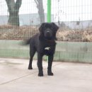 송림2길 이미지