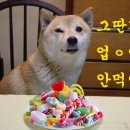 [ONEDAY] 내 남친이 크리스마스 케잌은 파리바게뜨에서 사자고 했음 ^*^ 이미지