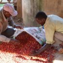 두은농장 이미지