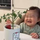 지안이네