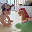 최강인력 - 강서구 | [전주 산후도우미 추천] 참사랑어머니회 전주점 인생 이모님 만난 후기🤍