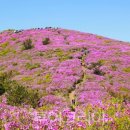 유원보성(아) 이미지