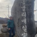 진상역 | 광양 매화축제 5번째 방문 후기-개화 상태 및 방문 팁
