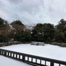 비자노아 이미지