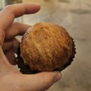 석장리박물관9 | 아이들과 공주·부여 여행기 ① 석장리와 공산성, 걷는 날