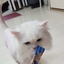 에블룸