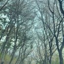 갈천농장 이미지