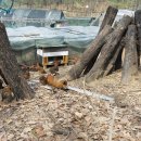 종성농장 이미지