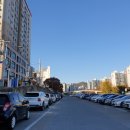 주정차단속-031 이미지