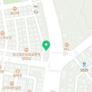 오독 강아지 안심분양센터 원주점 이미지