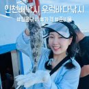 킹콩낚시 | 인천 바다낚시 추천 우럭 잡고 온 후기 인천배낚시 가격 킹콩낚시